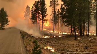 More than 33,000 wildfires have broken out across the U.S. 