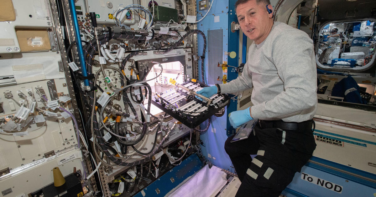 NASA astronauts are spicing up the International Space Station — by growing chile peppers on board for the first time