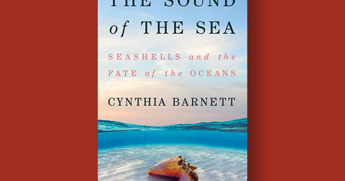 cynthia barnett the sound of the sea