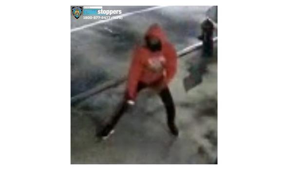 Manhattan Gunpoint Robbery 
