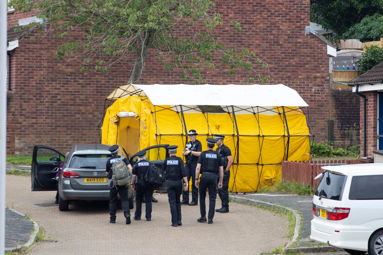 3yearold girl among 5 killed in rare mass shooting in England; gunman