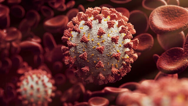 coronavirus-generic-772768-640x360.jpg 