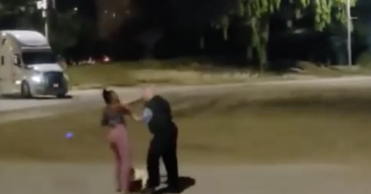 Chicago officer seen battling with Black lady who was strolling her pet put on desk obligation