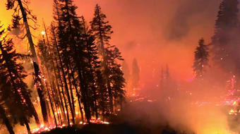 South Lake Tahoe forced to evacuate under wildfire threat 