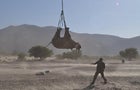 rhino hanging 