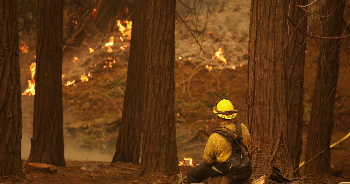 California wildfires destroy homes and threaten giant trees in Sequoia National Forest