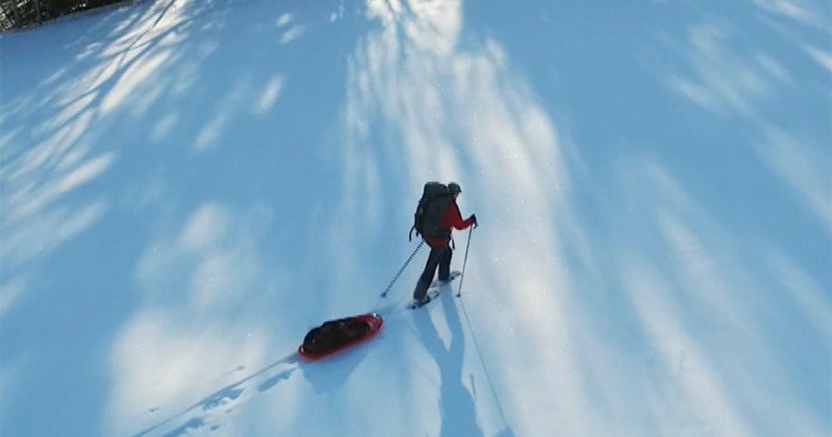 Dianne Whelan on completing her 16,000-mile trek through Canada