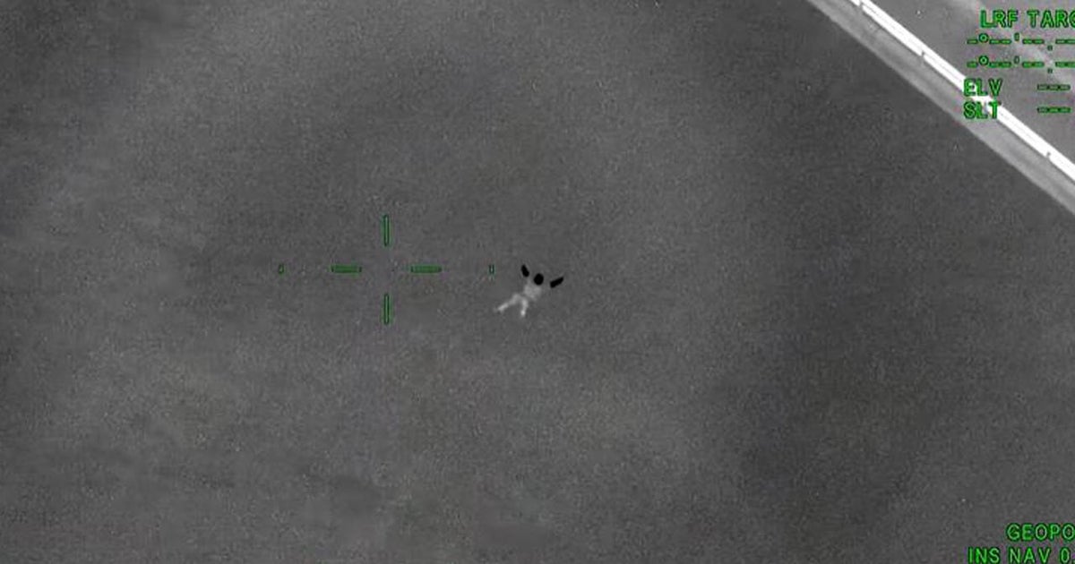 Dramatic video shows suspect jumping off bridge after police chase