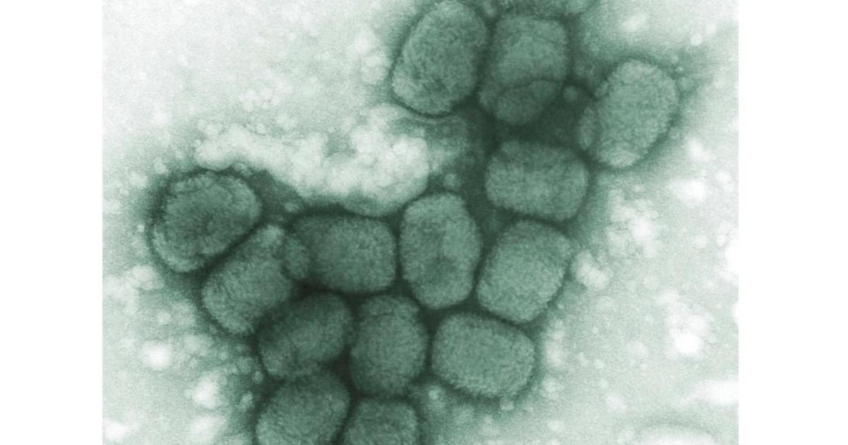 Frozen vials marked "Smallpox" found in lab freezer in Pennsylvania, CDC says