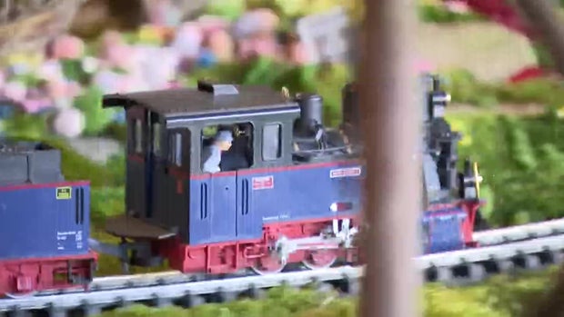 New York Botanical Garden Holiday Train Show