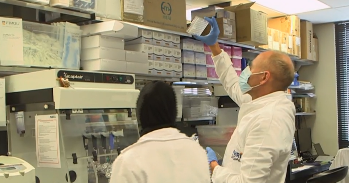 Scientist who helped discover COVID-19 Omicron variant warns of its potential - CBS News