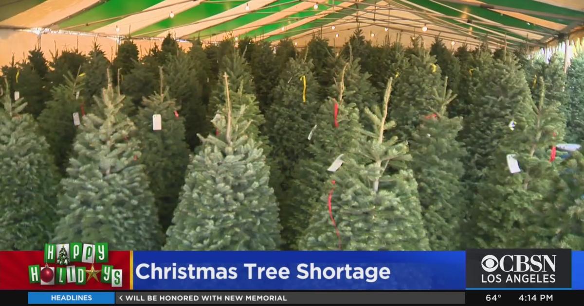 Local Christmas Tree Lots May Sell Out Early This Year Due To