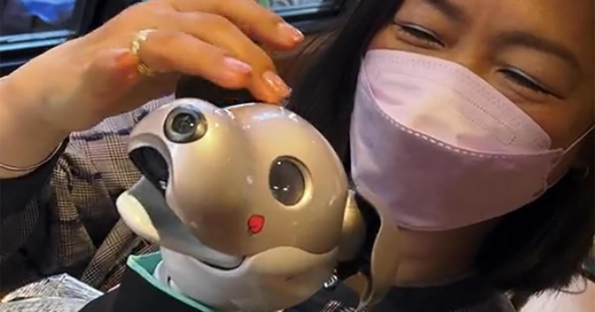 Robo-dogs and therapy bots: Artificial intelligence goes cuddly