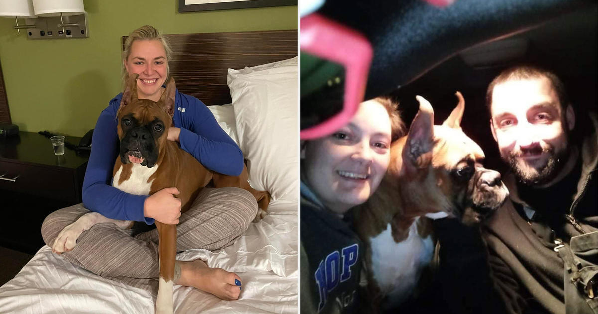A prize-winning dog was stolen. A Minnesota family used their sleuthing skills to find him.
