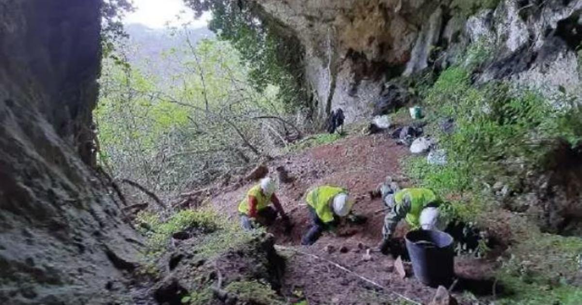 Badger hunting for food instead unearths treasure trove of Roman-era coins in Spain, archaeologists say