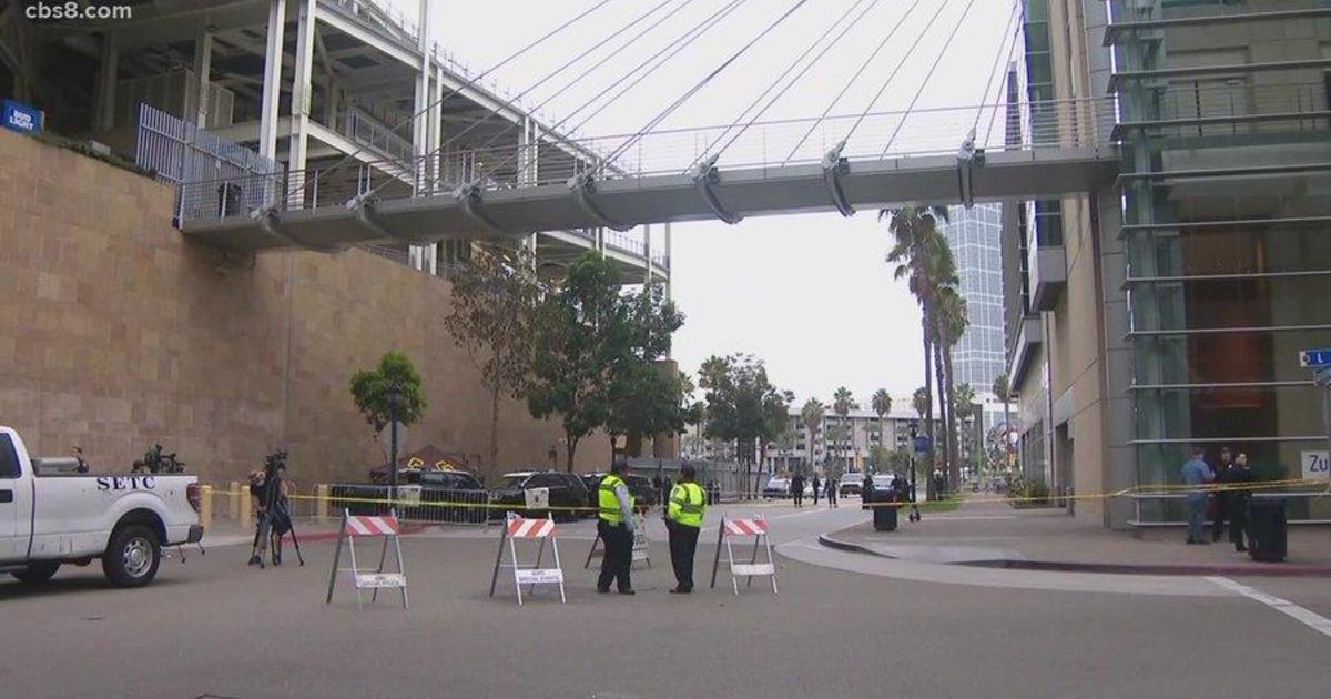 Causes of death revealed for mother and toddler who plunged from third level at San Diego's Petco Park