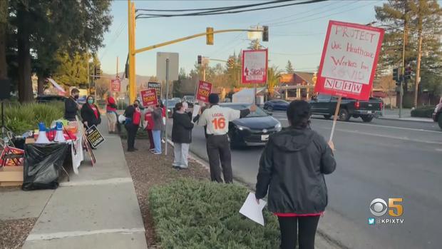 Queen of the Valley Picket 