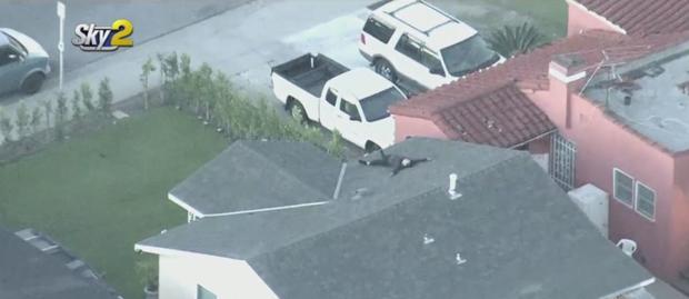 SWAT Standoff With Man On Roof Of Walnut Park Home 