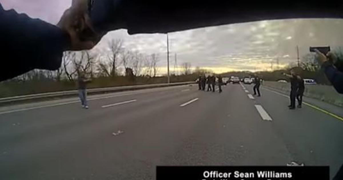 Nine officers fatally shoot pedestrian on Nashville interstate after half-hour standoff and it's caught on body cameras