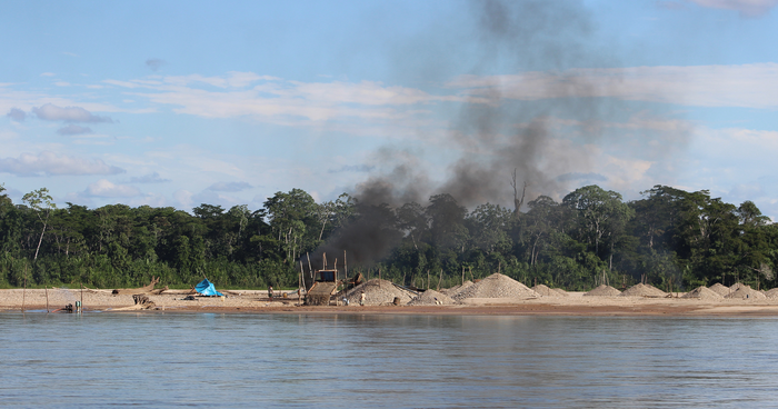 Illegal gold mining causing record mercury levels in Peruvian rainforests