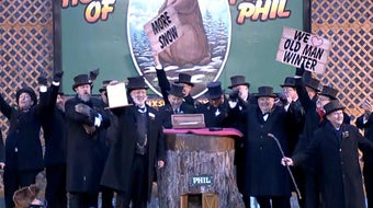 Groundhog Day: Punxsutawney Phil sees shadow 