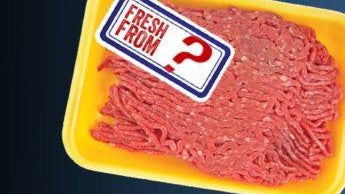 cool-beef-package-fresh-from-843x843-1-345x230.jpg 