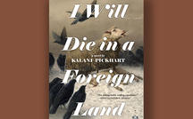 Book excerpt: "I Will Die In a Foreign Land" by Kalani Pickhart 