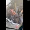 Pilot lets little girl who loves airplanes sit in the cockpit