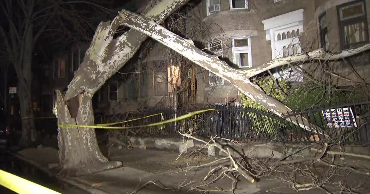 Fast-moving storms cause damage in parts of the Tri-State Area - Vimarsana News