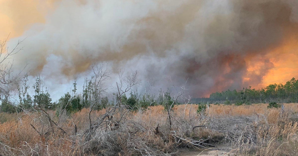 Series of wildfires burns more than 34,000 acres across Florida Panhandle - Vimarsana News