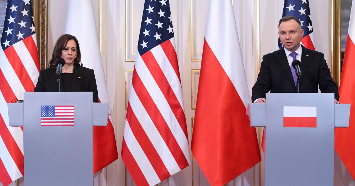 Harris says Russia should "absolutely" be investigated for war crimes