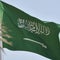 Saudi Arabia says it executed 81 convicts in a single day