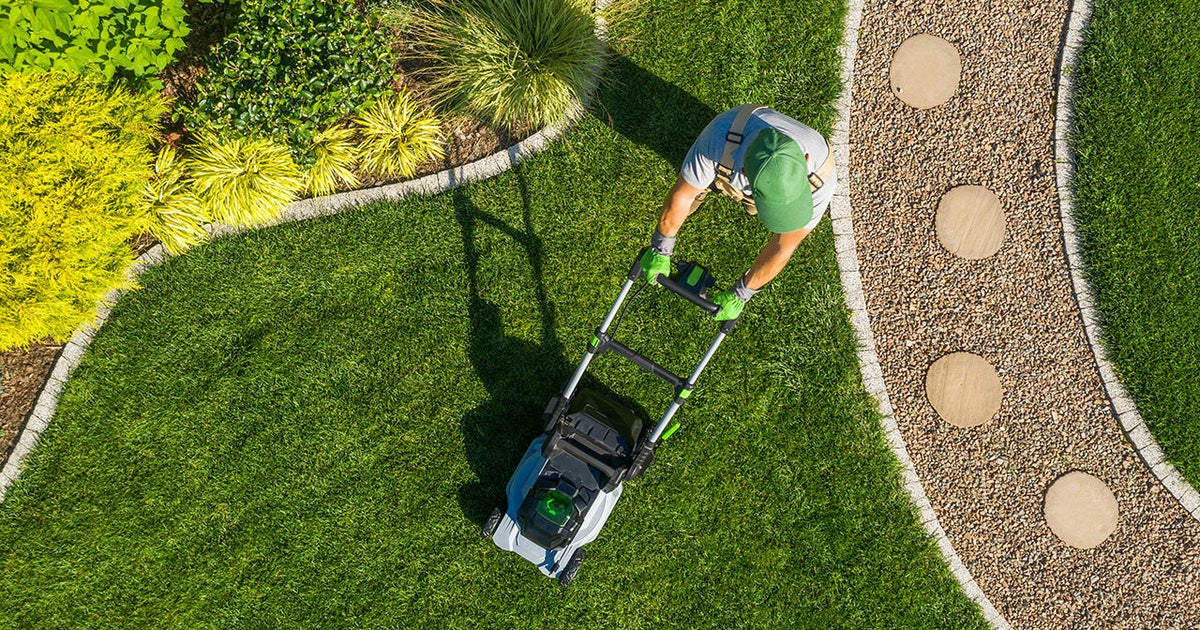 Gas prices are crazy: Time for electric lawnmowers and rechargeable power tools - Vimarsana News