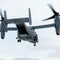 U.S. military plane crashes during NATO exercise