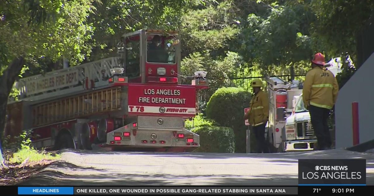 Tree trimmer killed on the job; Found hanging upside down nearly 50