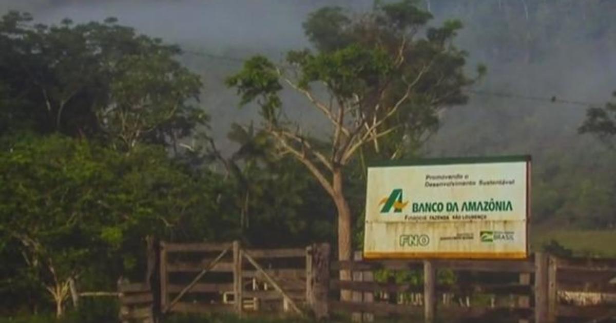 Threat to Amazon rainforest in Brazil driven by highway project