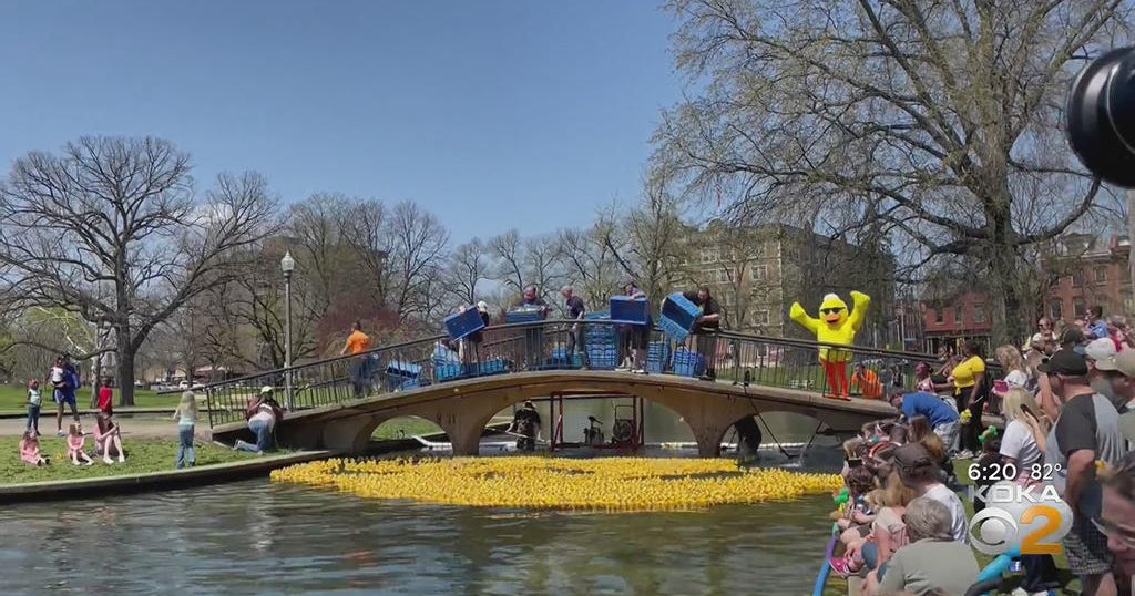 Allegheny Commons Park plays host to Steel City Duck Derby CBS Pittsburgh