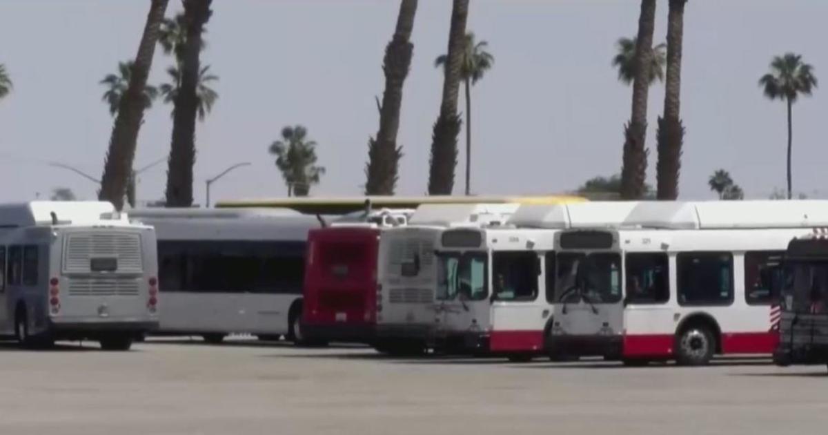 Bacterial toxin that sickened Coachella shuttle bus drivers identified
