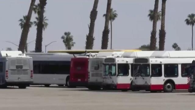 At least Coachella 40 shuttle drivers get food poisoning after meal; cause still unknown 