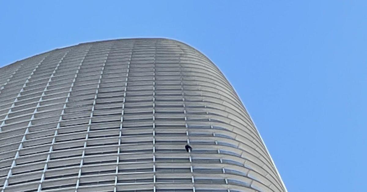 Man arrested after scaling 60-storySalesforce Tower in San Francisco