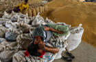India ban exports of wheat 