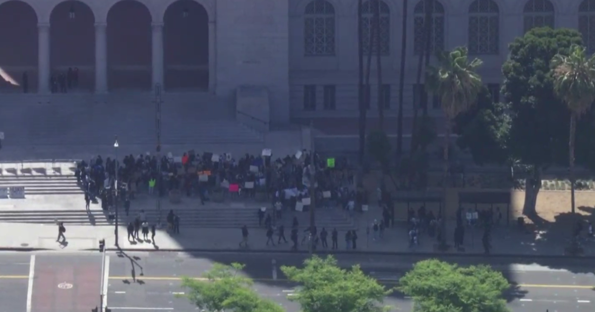 Hundreds of Miguel Contreras Learning Complex students walkout to protest gun violence